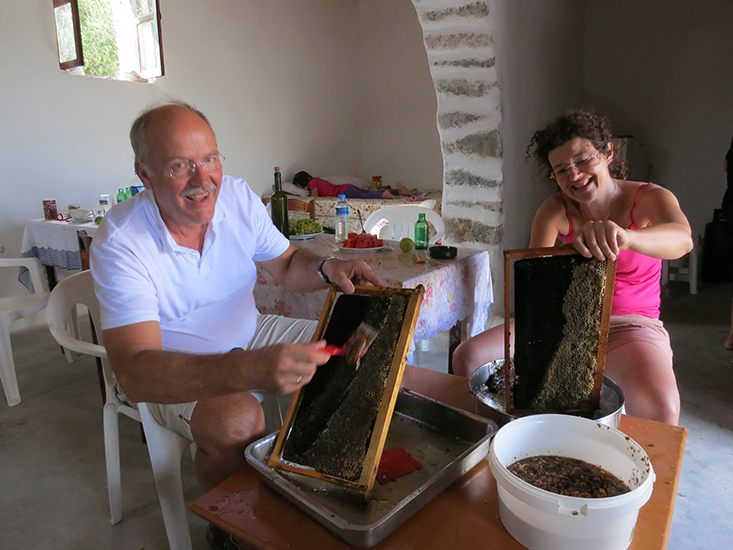 Gandelin-magasa-miel2