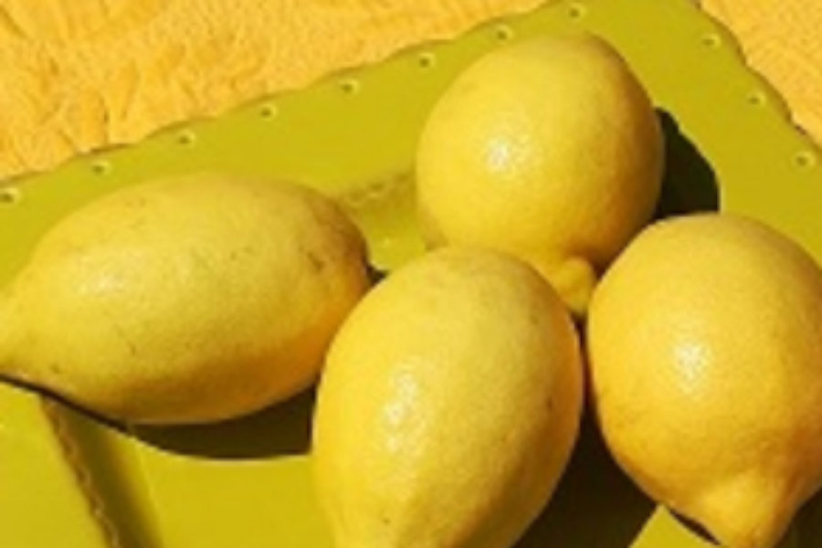 LE CITRON