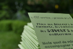 _1000122 Apprendre l'éthymologie des mots à partir du grec