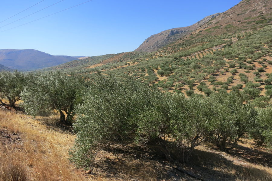 LA CRETE
