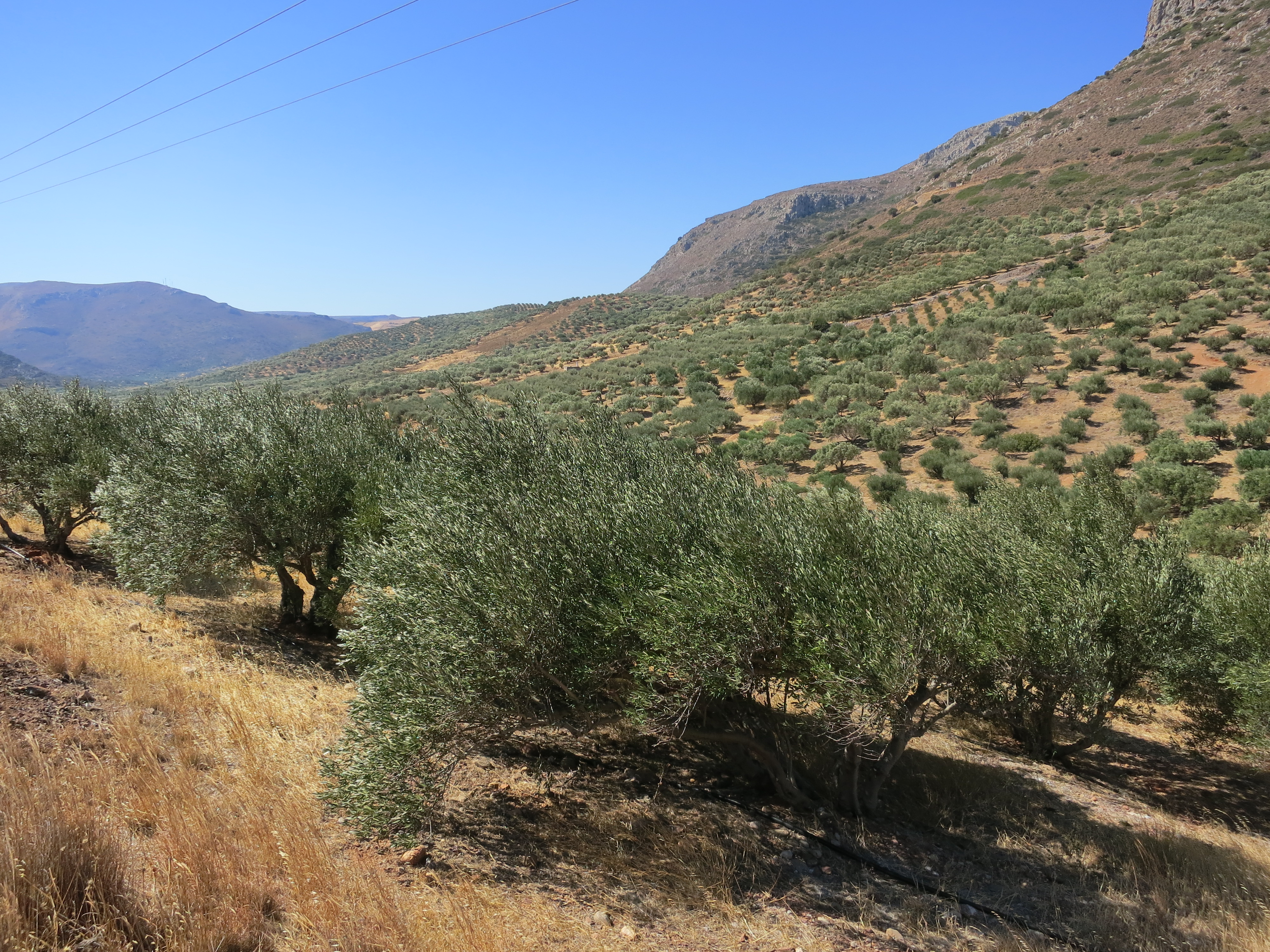 LA CRETE