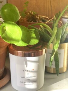 bougie asteri